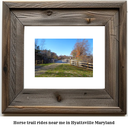 horse trail rides near me in Hyattsville, Maryland